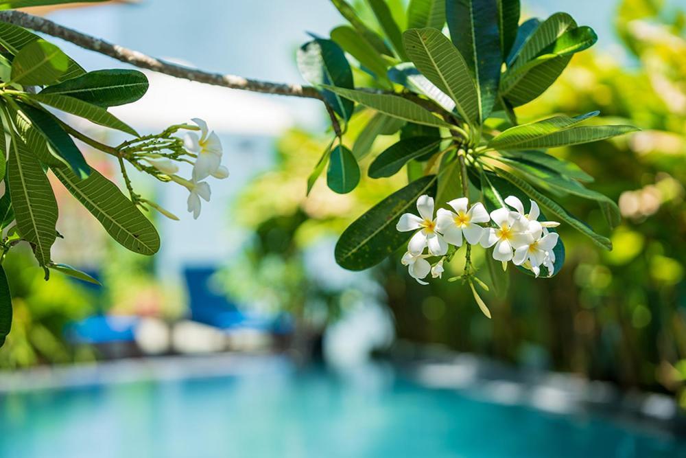 Coco Island Villa Hoi An Zewnętrze zdjęcie